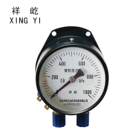 祥屹 双针双管压力表 YCS100-II 24V 台