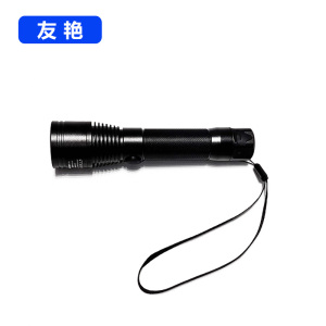 友艳LED灯YYDD-012/个
