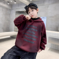 男童加绒连帽卫衣秋冬款新款儿童冬季一体绒打底衫加厚洋气潮