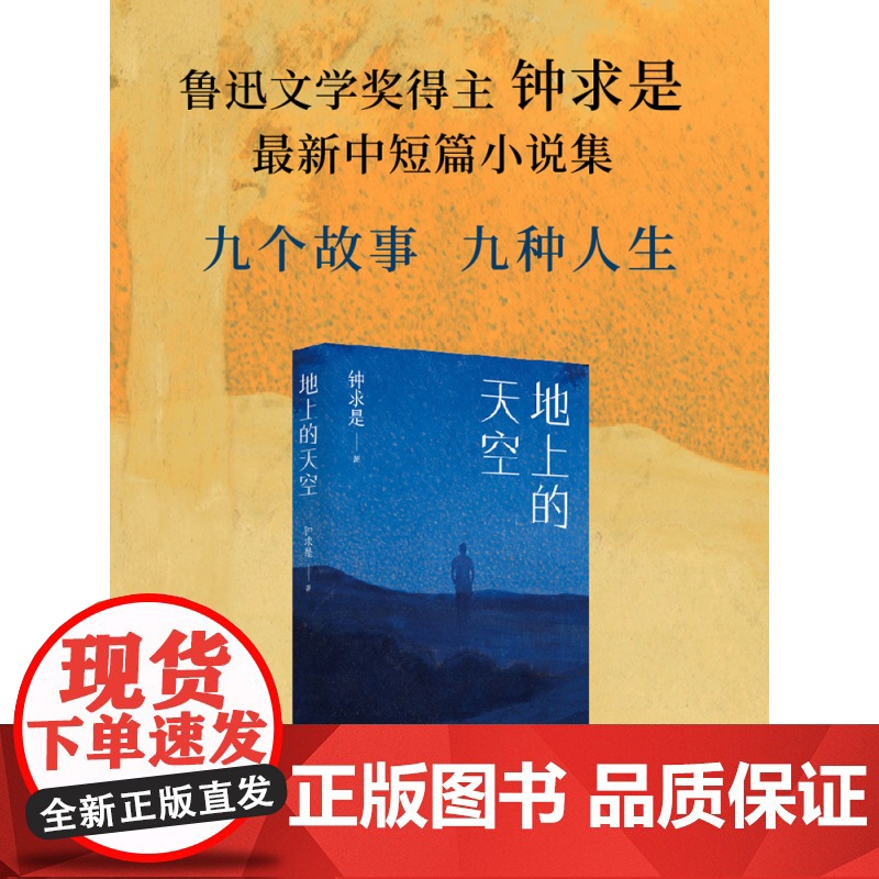 地上的天空 鲁迅文学奖得主钟求是中短篇小说集 人生九故事 程永新/徐则臣/班宇推 荐现当代文学散文随笔书籍排行榜
