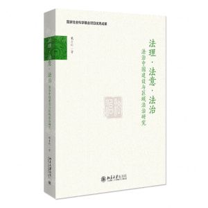 [N]法理法意法治(法治中国建设与区域法治研究)-9787301327982
