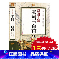 [正版] 宋词三百首 彩图全解 文白对照 原文译文注释 国学典籍唐诗鉴赏 词意赏析 中国古代诗词精选大全集 青少年课外阅