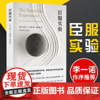臣服实验 迈克·A.辛格著 书不羁的灵魂的作者真真实的人生故事纽约时报书 励志书籍 书