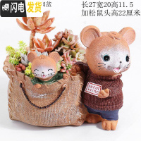 三维工匠大号口径多肉花盆创意个性简约现代卡通可爱精致小动物兔松鼠摆件 棕色特大号松鼠多肉盆 中等花盆容器
