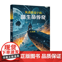 火苗照亮宇宙:暗生命传奇 (于星辰间探寻,于寂静中觉醒,一场关于人类与宇宙的永恒对话。)