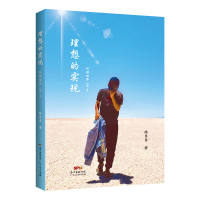 正版新书]理想的实现——环游世界500天陈东东9787218153971