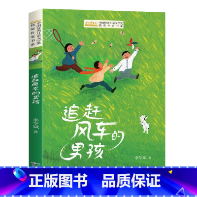 追赶风车的男孩 [正版]全国儿童文学奖获奖作家书系——追赶风车的男孩