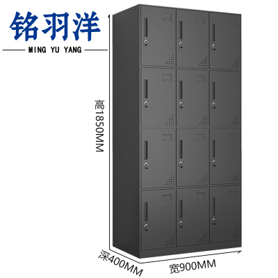 铭羽洋衣柜12门90*40*185cm台