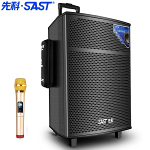 先科 (SAST) SA- 122英寸广场舞音响 蓝牙拉杆音箱 彩灯户外便携式音响大功率低音炮KTV 扩音器带无线麦克风