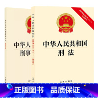中华人民共和国刑法+中华人民共和国刑事诉讼法 [正版] 中华人民共和国刑法 根据刑法修正案十二新修正+中华人民共和国刑事
