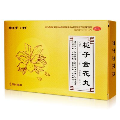 药圣堂 栀子金花丸9g*8袋/盒