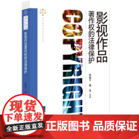 影视作品著作权的法律保护 徐康平 知识产权出版社