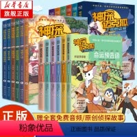 千面怪盗篇+侦探大赛篇(套装12册) [正版]神探迈克狐系列图书全套18册千面怪盗篇+侦探大赛篇+彩绘拼音版注音漫画