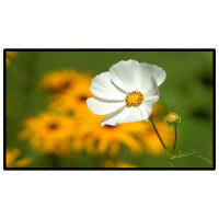 昌裕CY-GGJ-DCBG22 22寸壁挂广告机 信息发布显示屏