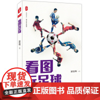 看图玩足球 *