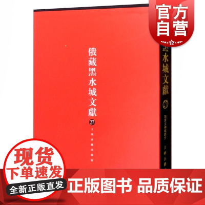 俄藏黑水城文献27西夏文佛教部分 文献研究参考图书书籍 俄罗斯科学院东方文献 中国社科院民族学与人类学研究所 上海古籍