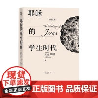 耶稣的学生时代 J.M.库切 著 小说