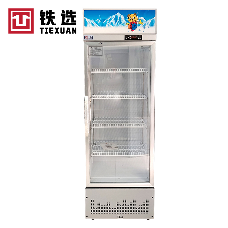 铁选 留样柜 TX-单门600*510*1730 台