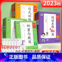语文·句式训练大全(上册) 小学一年级 [正版]2024版53小学基础练语文积累与默写一二年级三年级四年级五年级六年级上