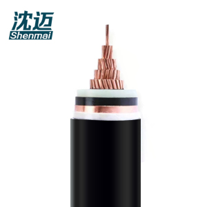 沈迈 铜芯电缆 YJV62-10-1-1*95mm² /米 护套颜色可备注
