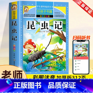 昆虫记[彩图注音] [正版]童话大王全集一年级二年级三年级小学生课外必阅读书籍注音版精选幼儿童3-6-8-12周岁经典童