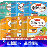 暑假练字帖 小学二年级 [正版]2023开心暑假专项作业一升二升三升四升五升六年级上下册暑假阅读理解训练数学口算计算应用