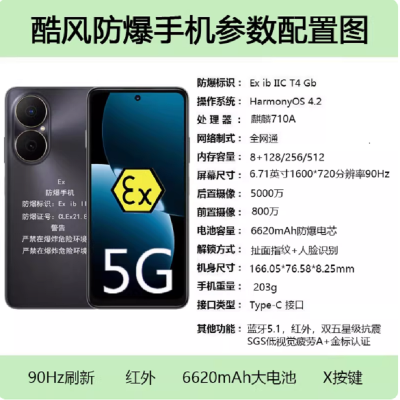 华为 畅享80 128G 防爆手机 4G全网通制药厂化工厂石油本安型EX巡检防爆定制版