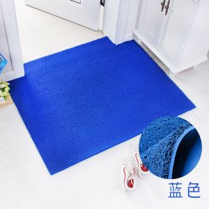 丝圈地垫家地毯垫塑料防水防滑垫子可裁剪脚垫