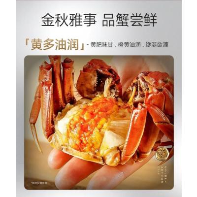 蟹状元888型 (雄蟹3.5两/4只+雌蟹2.5两/4只)非质量问题不支持退货