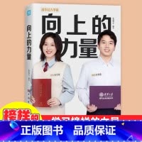 [正版]向上的力量闻道清北5大维度揭秘12位学子逆袭上清北的诀窍励志成长书籍27个学霸成长案例学习榜样的力量清华北大学