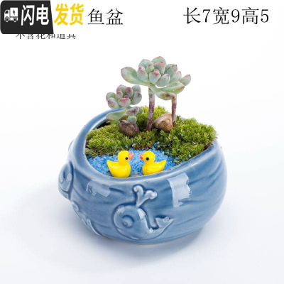 三维工匠多肉花盆器创意个性中大号口径肉肉植物小号拇指花盆陶瓷 蓝色戏水鱼盆 中等花盆容器