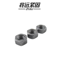 兆远紧固 六角螺母(个)(M12)