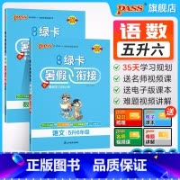 语文+数学-人教版2本 五升六 [正版]2024新版小学五升六暑假衔接人教版语文数学五年级暑假作业上下册暑假预习复习一本