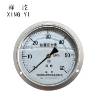 祥屹 耐震压力表轴向带边 YTN150ZT 0-60Mpa