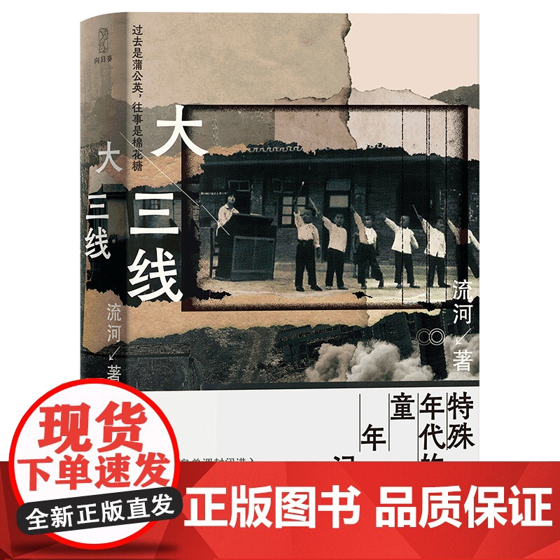 店 大三线 西南版的看上去很美 二十世纪七十年代的童年集体记忆 三线建设子弟代表王小帅 中国近当代文学随笔书籍