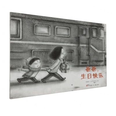 [N]爸爸生日快乐-9787558419072