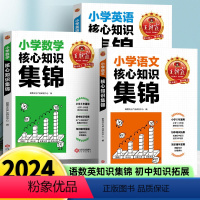 王朝霞小学核心知识集锦[语文+数学+英语] 小学通用 [正版]小学语文阅读训练100篇答案超详解小学生一二三四五六年级阅