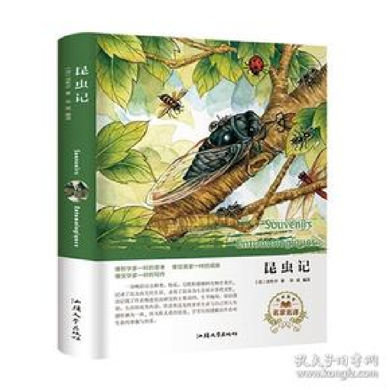 正版新书]昆虫记(名家名译) [Souvenirs Entomologiques]法布