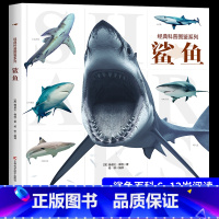 [主图款]经典科普图鉴-鲨鱼 [正版]经典科普图鉴系列-鲨鱼动物百科全书少儿科普书籍绘本趣味阅读 揭秘海洋6-12岁儿童