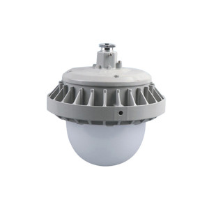 卓安(CNZAM)ZGD207 50W AC220V IP65 约5700k/白光 LED平台灯