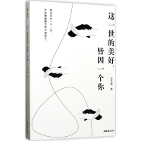 音像这一世的美好,皆因一个你李思圆 著