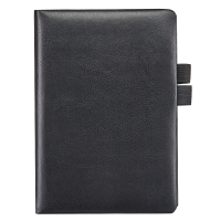 齐心 C5708 简合皮面本 A5 120张 黑