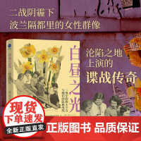 白昼之光 二战中的犹太少女与她们的隐秘战线 朱迪·巴塔利安 著 历史