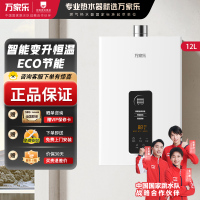 万家乐YP1/TP1燃气热水器12L家用 智能恒温强排 ECO节能变升