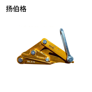 扬伯格 卡头 SKJL25-70 个