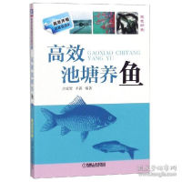 正版新书]高效池塘养鱼占家智9787111510529