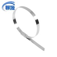 聊源自锁式不锈钢扎带10*200mm