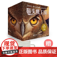 猫头鹰王国系列全套15册 中文版四五六年级中小学生课外阅读经典动物奇幻小说儿童幻想自然文学冒险励志成长读物书籍接力正版