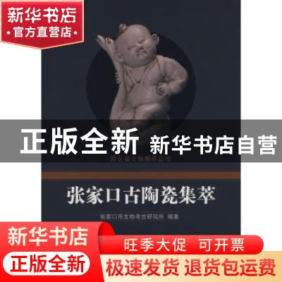 正版 张家口古陶瓷集萃 贺勇,王培生主编 科学出版社 9787030214