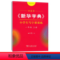 一年级上册 [正版]字典字帖小学生初中生写字课课练同步写字课语文人教版楷书字帖行楷行书练字帖同步字帖一二三四五六七八九年